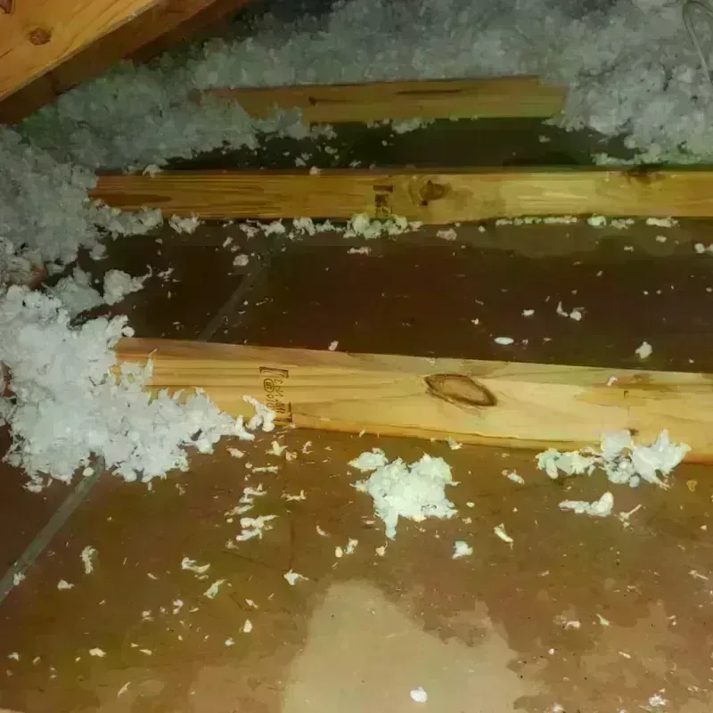 Attic Water Damage in Contra Costa Centre, CA